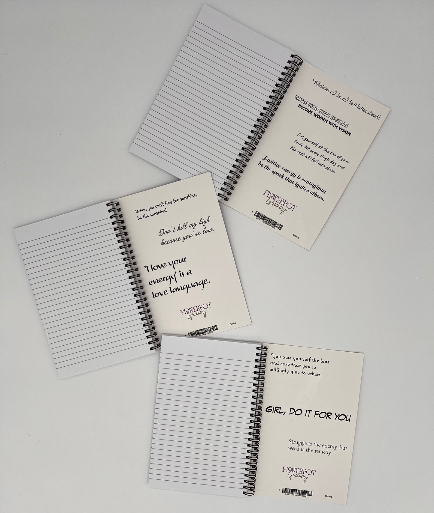Cloud Chronicles Journal